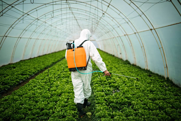 Best Best Pest Control Near Me  in Myrtle Point, OR