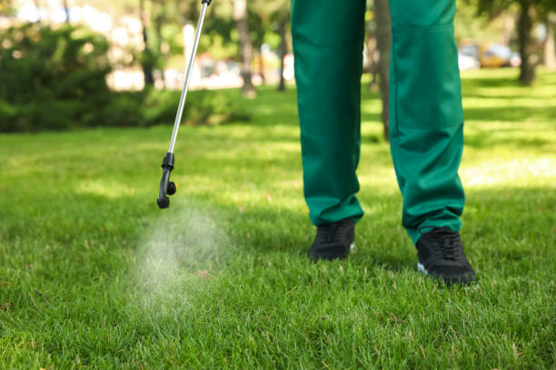 Pest Prevention Services in Myrtle Point, OR